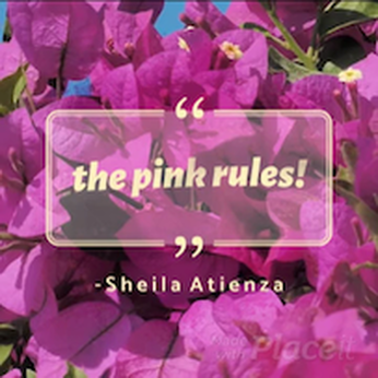 The Pink Rules